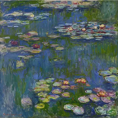 Water Lilies